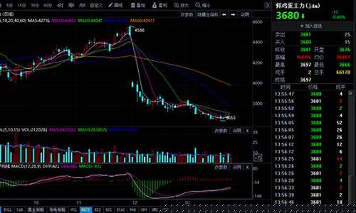 鸡蛋期货行情图表(鸡蛋期货走势行情)_https://www.kairu168.com_中金所_第1张