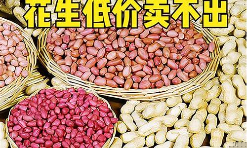 期货花生米价格最新行情(期货花生2201)_https://www.kairu168.com_上期所_第1张
