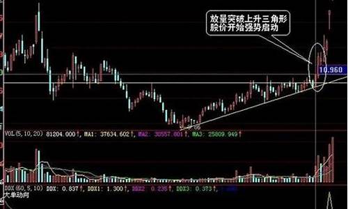 金三角期货交易所靠谱吗_https://www.kairu168.com_大商所_第1张
