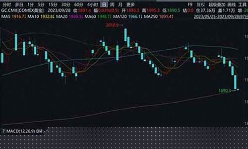 纽约金价期货实时行情走势(美国金价期货实时行情)_https://www.kairu168.com_郑商所_第1张