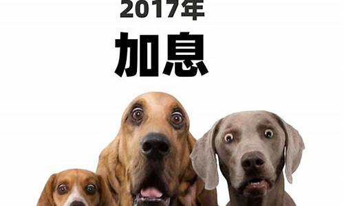 富贵王股市直播(富贵王股市直播间在哪)(富贵王位什么意思)_https://www.kairu168.com_郑商所_第1张