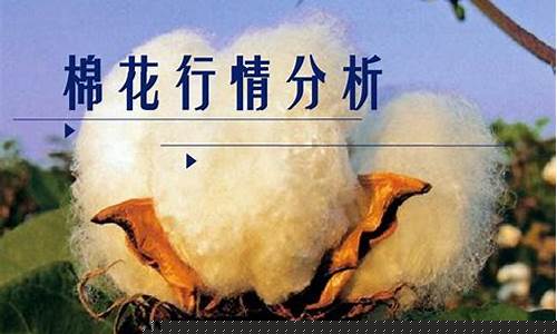 棉花期货大户(棉花期货市场)_https://www.kairu168.com_广期所_第1张