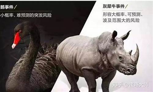 灰天鹅期货(灰枣期货走势)_https://www.kairu168.com_广期所_第1张