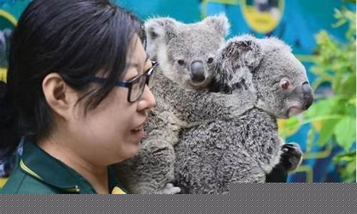 考拉期货_https://www.kairu168.com_广期所_第1张