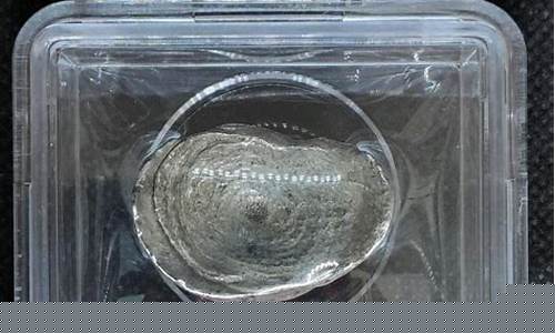 银锭期货(银锭期货价格)_https://www.kairu168.com_上期所_第1张