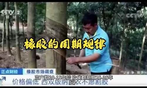 炒橡胶期货(橡胶期货交易规则)_https://www.kairu168.com_中金所_第1张
