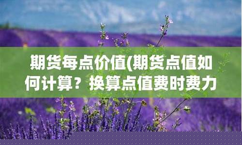 期货每点价值(期货每点价值多少合适)_https://www.kairu168.com_郑商所_第1张