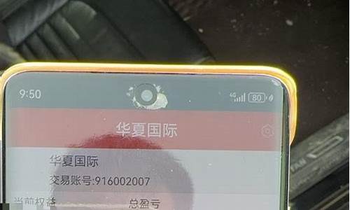 华夏交易期货(华夏商品交易)_https://www.kairu168.com_中金所_第1张