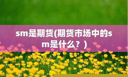 sm期货(什么是期货)_https://www.kairu168.com_大商所_第1张