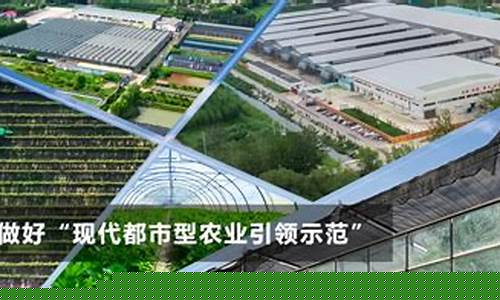 天津金谷期货(金谷期货有限公司)_https://www.kairu168.com_大商所_第1张