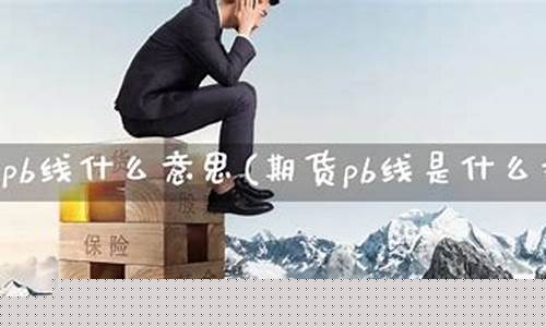期货pb(期货pB4pB6pB9指标代表什么)_https://www.kairu168.com_上期所_第1张