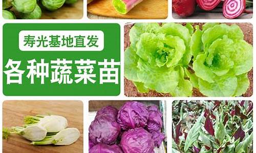 寿光蔬菜期货(寿光蔬菜期货都有什么品种)_https://www.kairu168.com_中金所_第1张