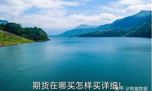 公司购买期货(公司购买期货亏损了账务处理)_https://www.kairu168.com_上期所_第1张
