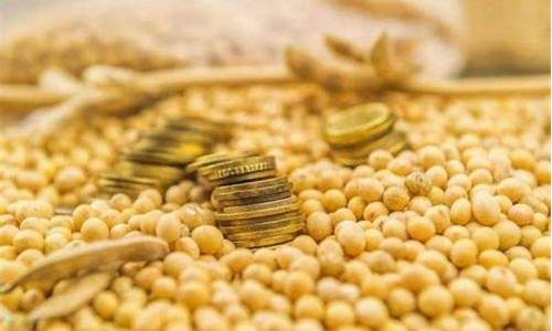 大豆期货研究(大豆期货技术分析)_https://www.kairu168.com_上期所_第1张