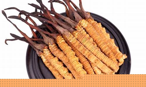 冬虫夏草期货(近期冬虫夏草行情走势图)_https://www.kairu168.com_上期能源_第1张