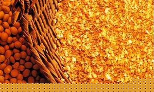 商品期货圣经(商品期货知识)_https://www.kairu168.com_中金所_第1张
