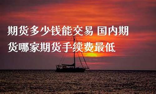 哪能交易期货(期货哪个平台可以交易)_https://www.kairu168.com_中金所_第1张