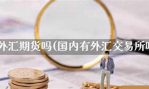 中国有外汇期货吗(外汇期货在中国合法吗)_https://www.kairu168.com_上期所_第1张