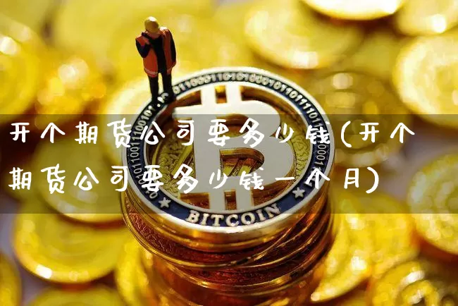 开个期货公司要多少钱(开个期货公司要多少钱一个月)_https://www.kairu168.com_广期所_第1张