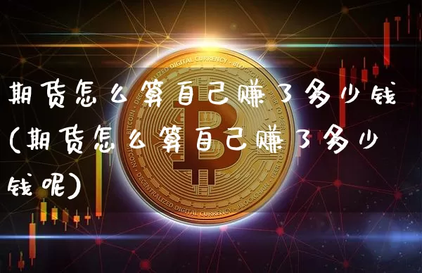 期货怎么算自己赚了多少钱(期货怎么算自己赚了多少钱呢)_https://www.kairu168.com_广期所_第1张