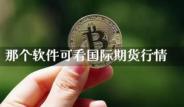 那个软件可看国际期货行情_https://www.kairu168.com_上期所_第1张