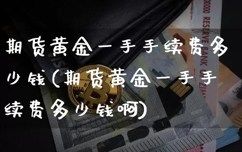期货黄金一手手续费多少钱(期货黄金一手手续费多少钱啊)_https://www.kairu168.com_大商所_第1张