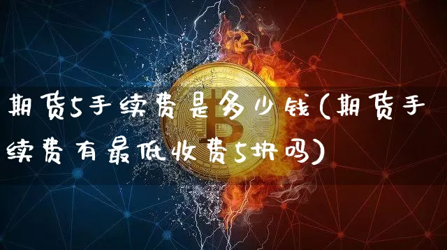 期货5手续费是多少钱(期货手续费有最低收费5块吗)_https://www.kairu168.com_上期能源_第1张