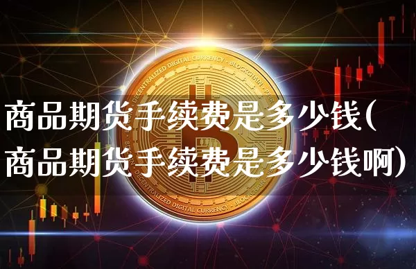 商品期货手续费是多少钱(商品期货手续费是多少钱啊)_https://www.kairu168.com_大商所_第1张