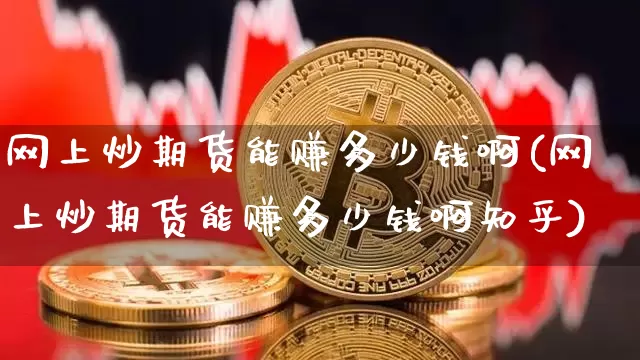 网上炒期货能赚多少钱啊(网上炒期货能赚多少钱啊知乎)_https://www.kairu168.com_郑商所_第1张