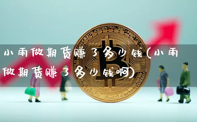 小雨做期货赚了多少钱(小雨做期货赚了多少钱啊)_https://www.kairu168.com_郑商所_第1张