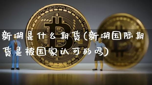 新湖是什么期货(新湖国际期货是被国家认可的吗)_https://www.kairu168.com_大商所_第1张