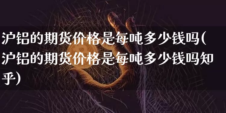 沪铝的期货价格是每吨多少钱吗(沪铝的期货价格是每吨多少钱吗知乎)_https://www.kairu168.com_广期所_第1张