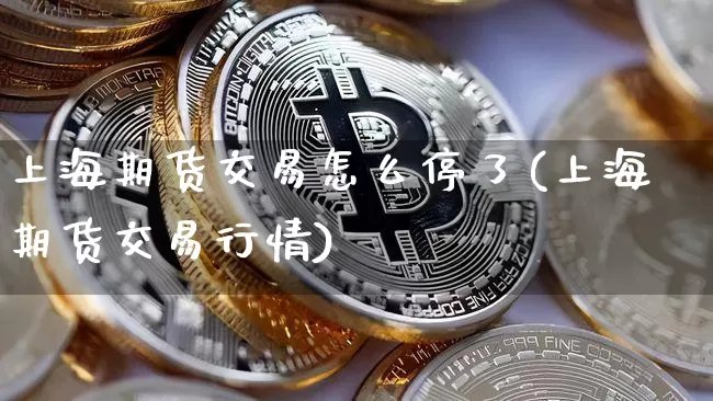 上海期货交易怎么停了(上海期货交易行情)_https://www.kairu168.com_广期所_第1张