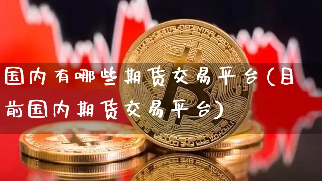 国内有哪些期货交易平台(目前国内期货交易平台)_https://www.kairu168.com_上期所_第1张