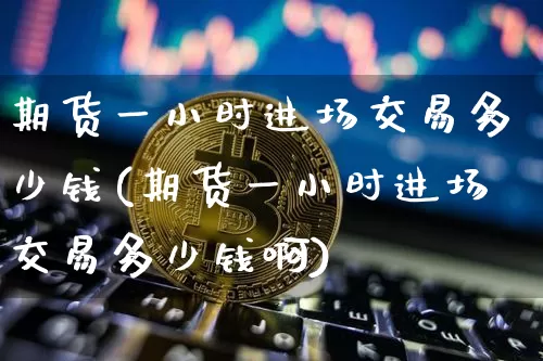 期货一小时进场交易多少钱(期货一小时进场交易多少钱啊)_https://www.kairu168.com_郑商所_第1张