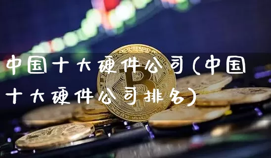中国十大硬件公司(中国十大硬件公司排名)_https://www.kairu168.com_广期所_第1张