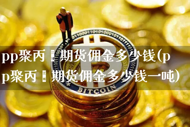 pp聚丙烯期货佣金多少钱(pp聚丙烯期货佣金多少钱一吨)_https://www.kairu168.com_上期能源_第1张