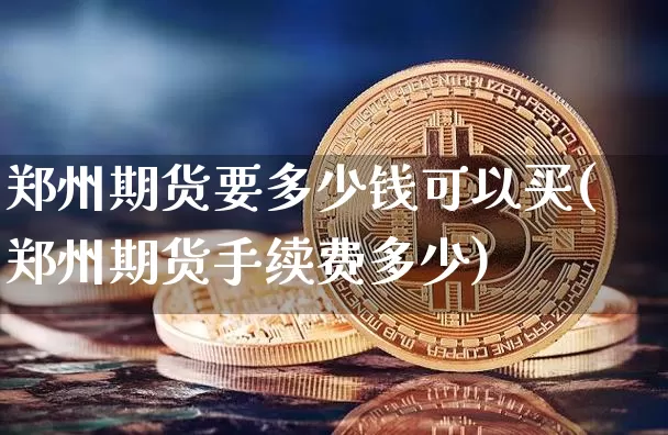 郑州期货要多少钱可以买(郑州期货手续费多少)_https://www.kairu168.com_郑商所_第1张
