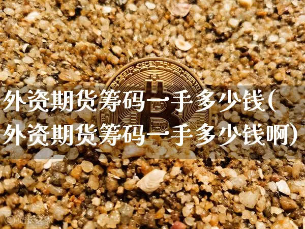 外资期货筹码一手多少钱(外资期货筹码一手多少钱啊)_https://www.kairu168.com_上期所_第1张