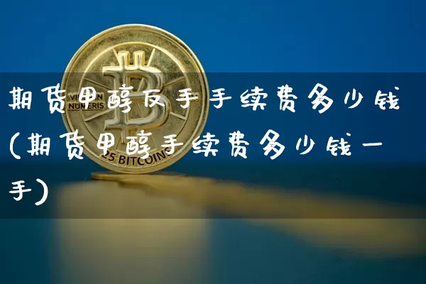 期货甲醇反手手续费多少钱(期货甲醇手续费多少钱一手)_https://www.kairu168.com_广期所_第1张