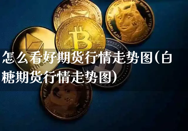 怎么看好期货行情走势图(白糖期货行情走势图)_https://www.kairu168.com_郑商所_第1张
