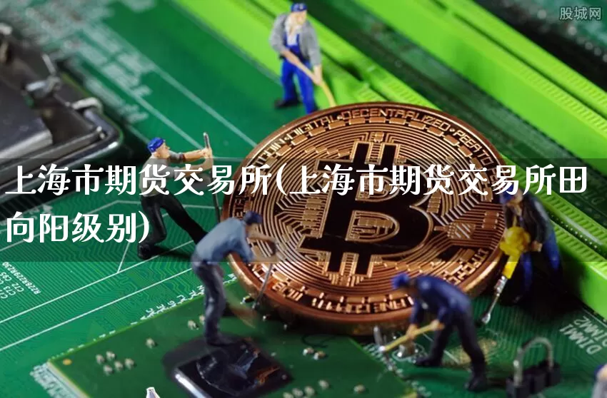 上海市期货交易所(上海市期货交易所田向阳级别)_https://www.kairu168.com_上期所_第1张