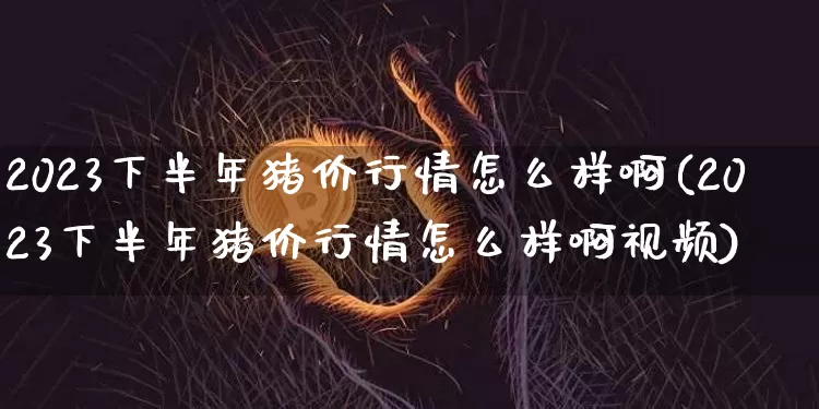 2023下半年猪价行情怎么样啊(2023下半年猪价行情怎么样啊视频)_https://www.kairu168.com_郑商所_第1张