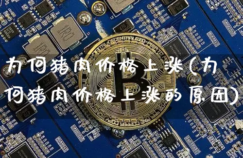 为何猪肉价格上涨(为何猪肉价格上涨的原因)_https://www.kairu168.com_上期能源_第1张