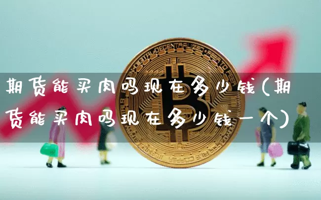 期货能买肉吗现在多少钱(期货能买肉吗现在多少钱一个)_https://www.kairu168.com_大商所_第1张