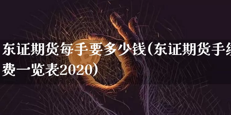 东证期货每手要多少钱(东证期货手续费一览表2020)_https://www.kairu168.com_广期所_第1张