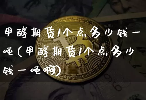 甲醇期货1个点多少钱一吨(甲醇期货1个点多少钱一吨啊)_https://www.kairu168.com_上期所_第1张