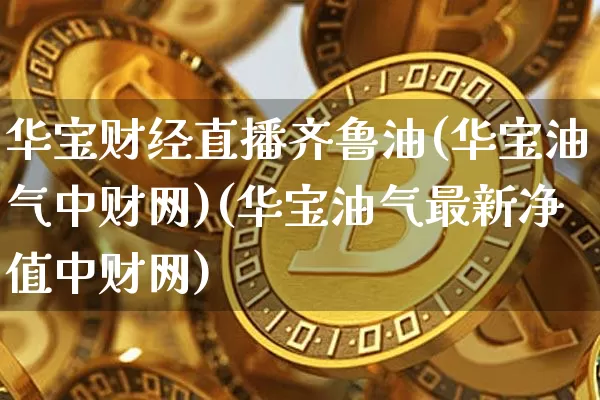 华宝财经直播齐鲁油(华宝油气中财网)(华宝油气最新净值中财网)_https://www.kairu168.com_广期所_第1张